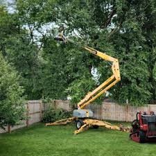 How Our Tree Care Process Works  in  Garden City South, NY
