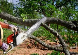 Lawn Maintenance Plans in Garden City South, NY
